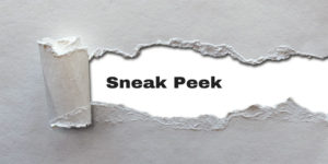 sneak peek kg hawes custom software solutions