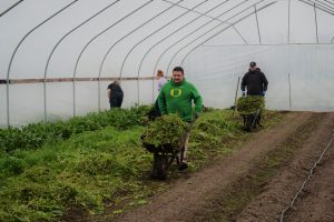 Hawes Day of caring community out reach event