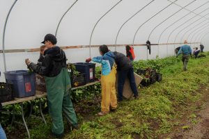 Hawes Day of caring community out reach event