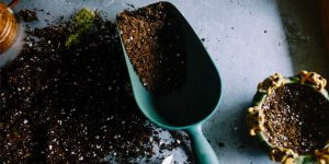 hawes day of caring kg hawes out reach community